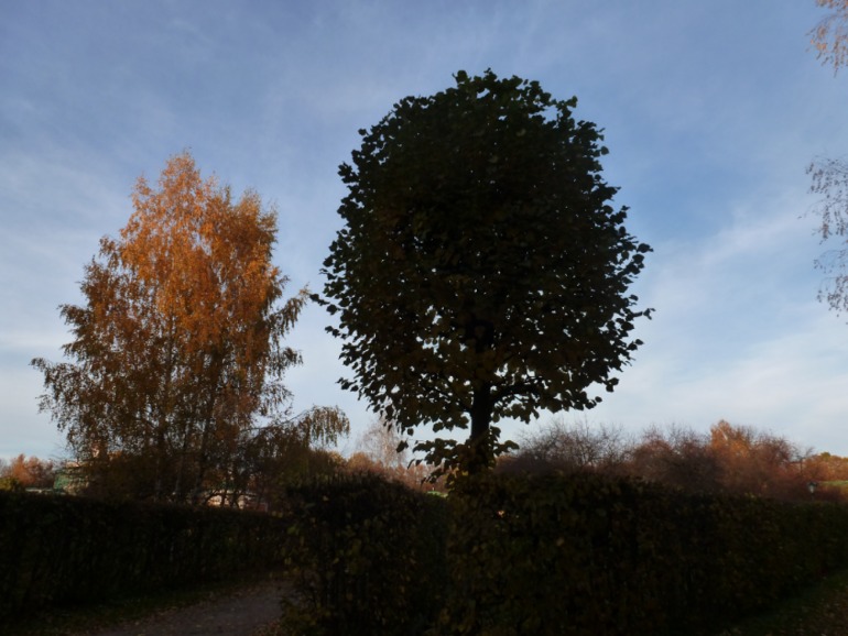 786d30191fdab766601a09bbbbc99983.jpg