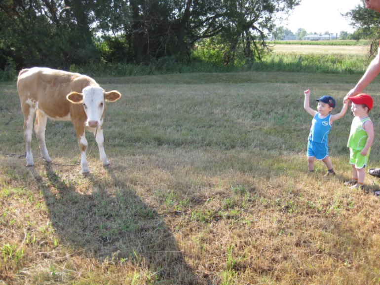 Наш летний фотоотчет!