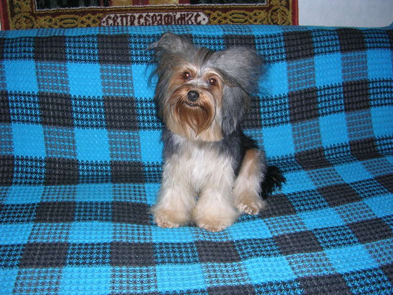 Зимняя фотосессия!