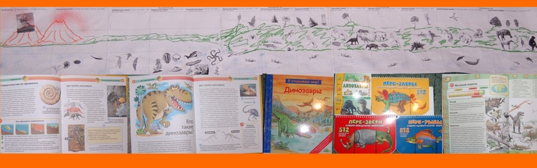 Эволюция и этапы жизни.