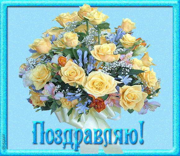 1977b0d59814613f34a0c2d26c79abd2.gif
