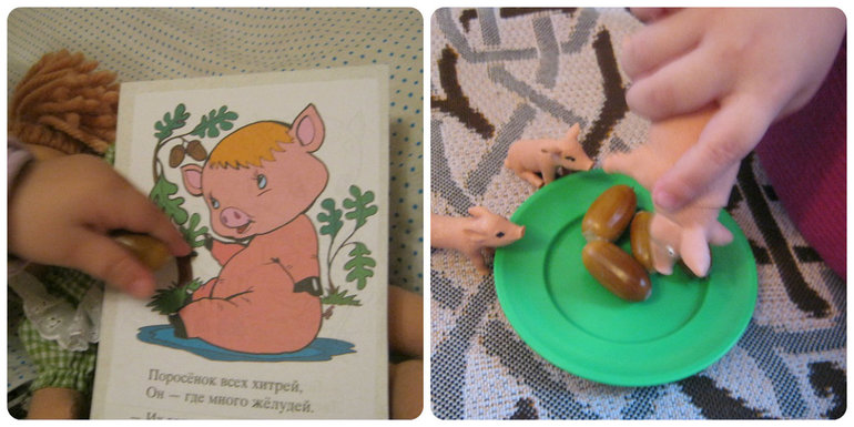 ТН Объекты природы День 4 Желудь