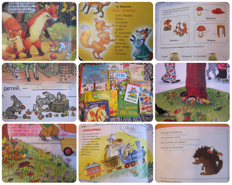 ТН Объекты природы Д7 Грибочек