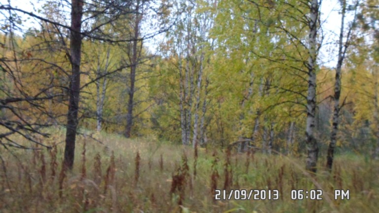 Осенняя поездка в лес