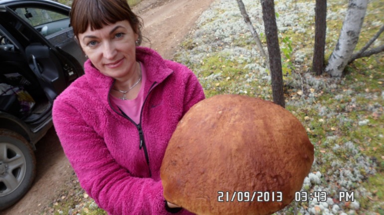 Осенняя поездка в лес