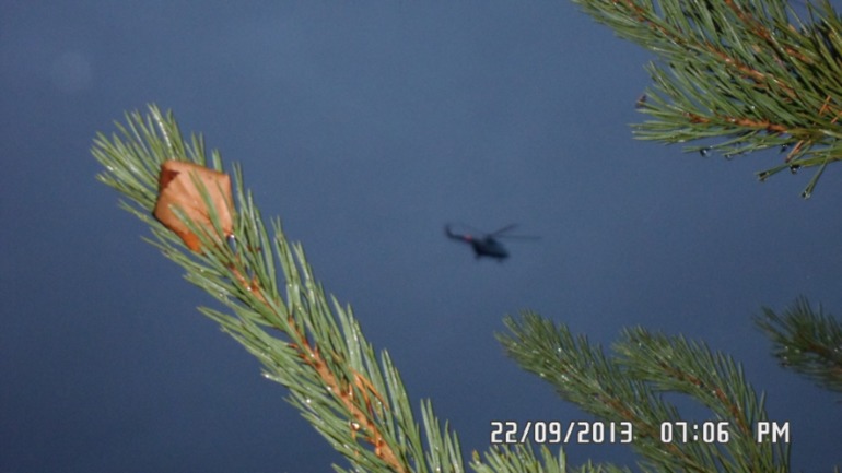 Осенняя поездка в лес