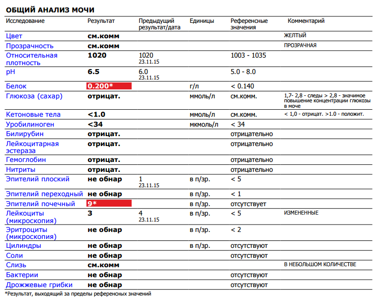 Результат мочи расшифровка у взрослого