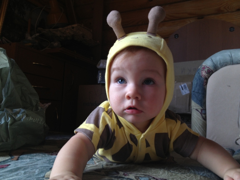 Девятимесячье)