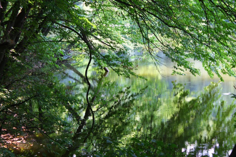 Китаевская пустынь