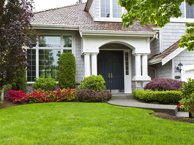 Сделать газон во дворе дома, саду или на участке – газон от Green Roll