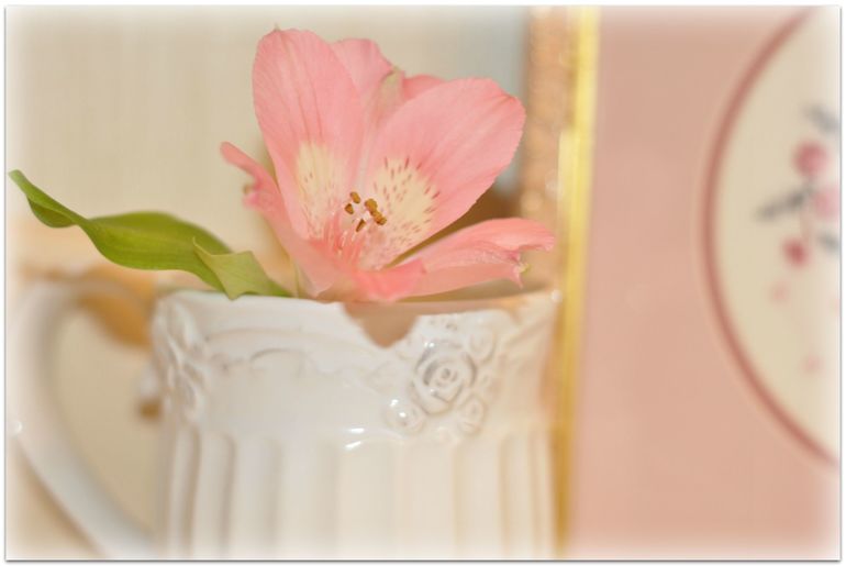 Delicates miniatures