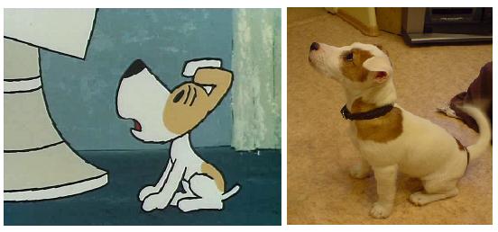 Длинный рассказ про нашего питомца