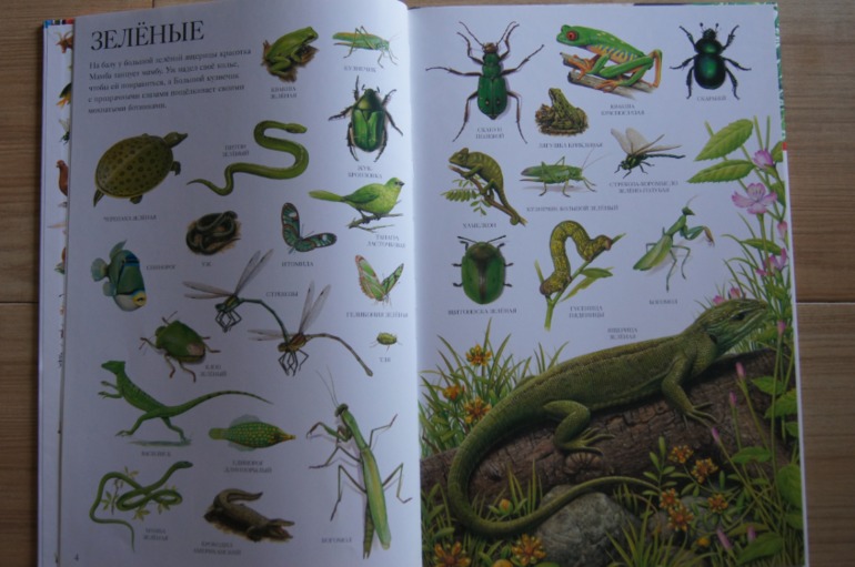 Большой атлас животных