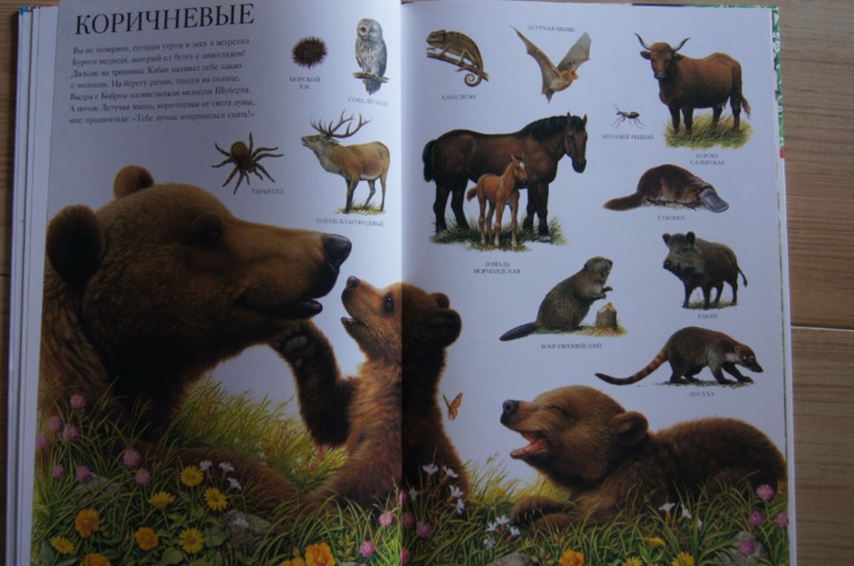 Большой атлас животных