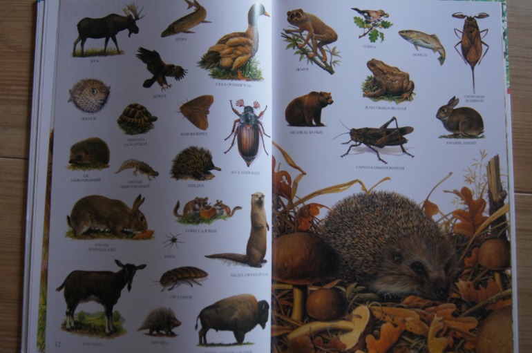 Большой атлас животных