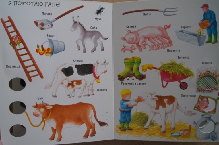 Мир вокруг На ферме