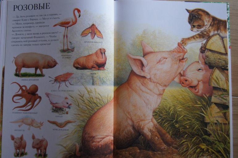 Большой атлас животных