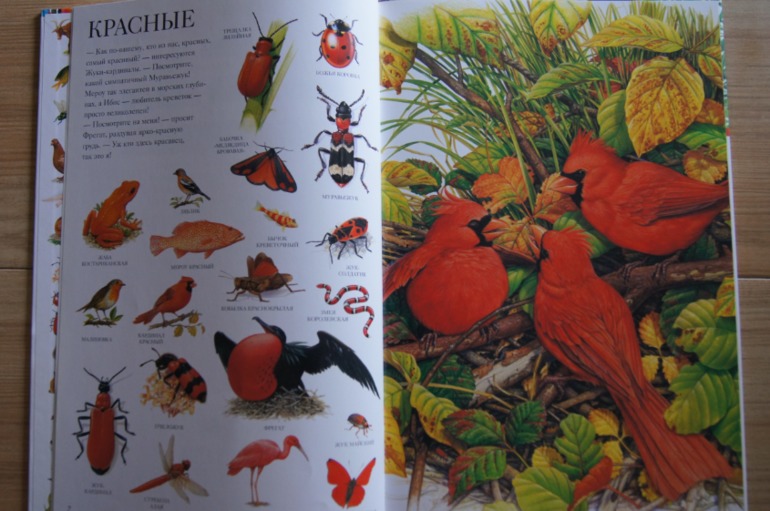 Большой атлас животных