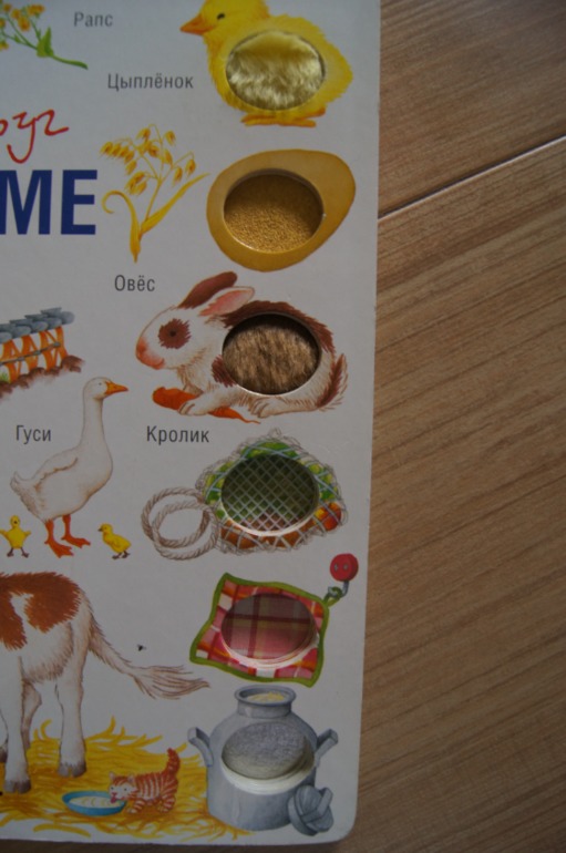 Мир вокруг На ферме