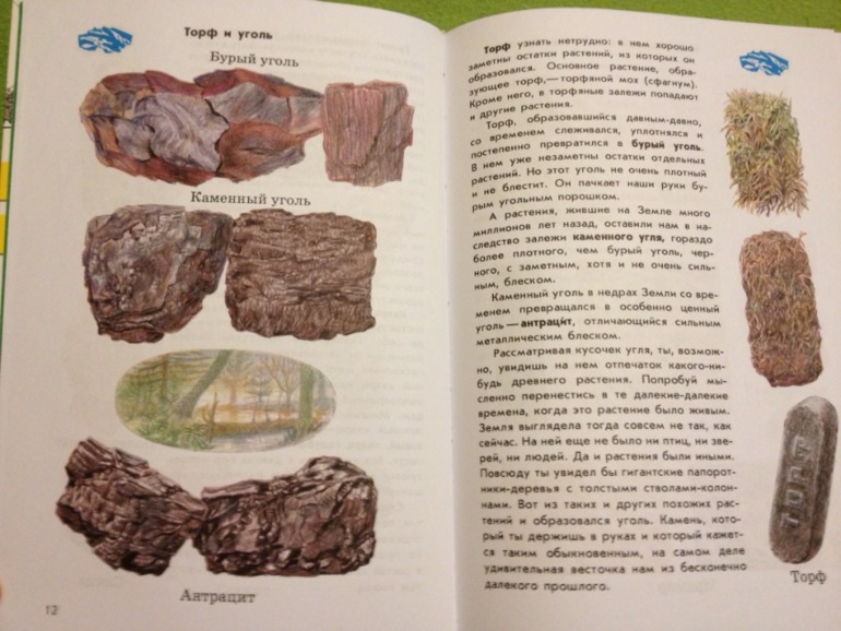 Пополнение ;)