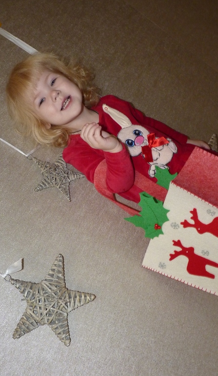 В ожидании Нового года