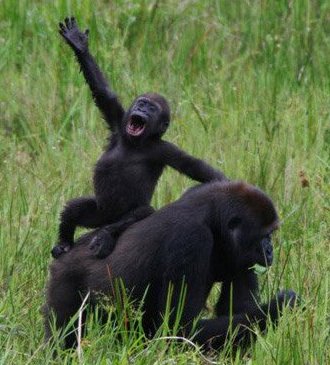 Самостоятельность