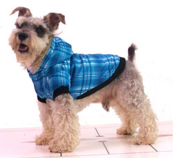 Теплая одежда для собачек