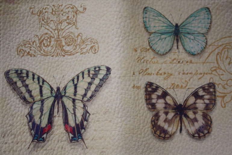 И снова они....