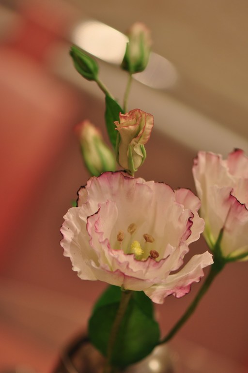 Мои цветочки с курсов ))