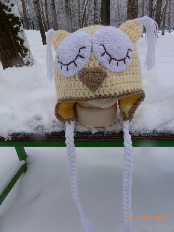 что делают совы зимой?