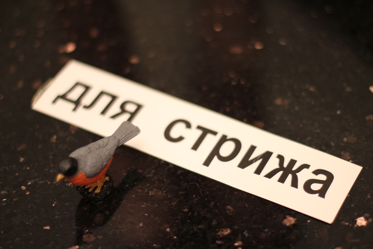 букварь с пеленок