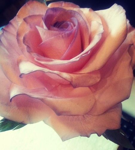 Очередной тортик повторюшка с розой ...