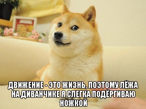899b0f37cc26c5228d50046b82436078.jpg