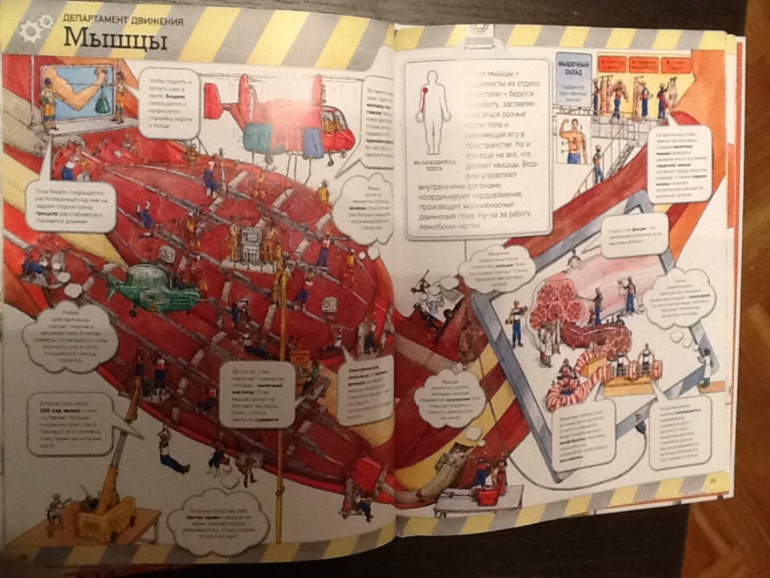 Тело человека!!!!