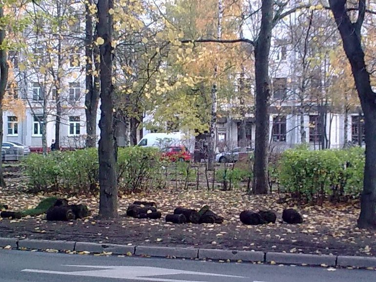 фотоугадайка  и первое фото ...