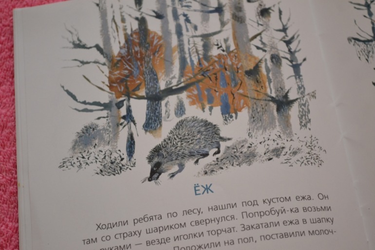 Тематические дни