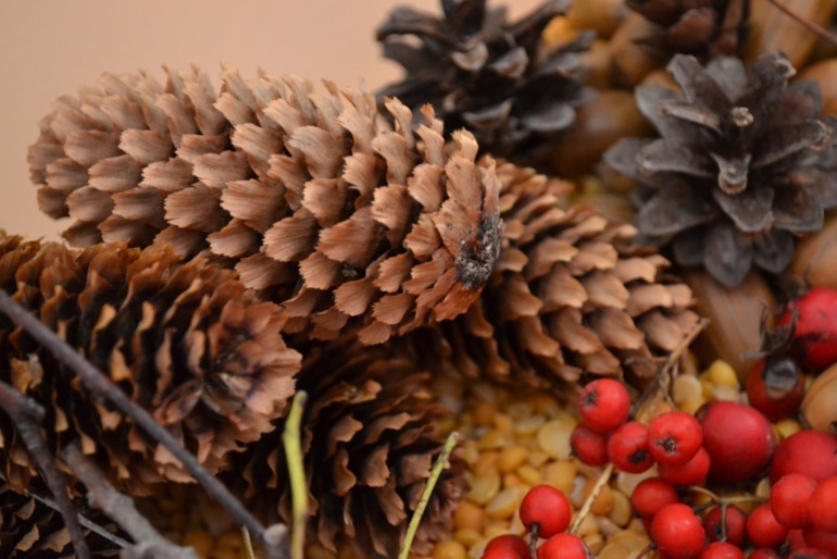 Тематические дни