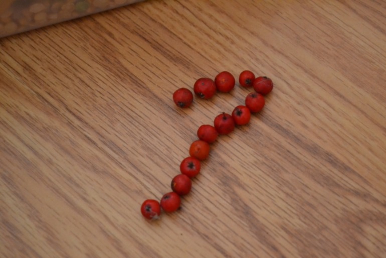 Тематические дни