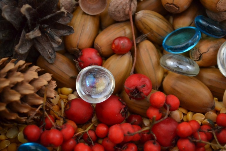 Тематические дни