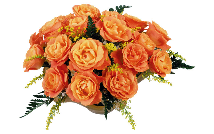 ОКТЯБРЬские экошечки!!! Поддержите друг друга!!!