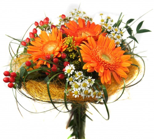 НОЯБРЬские экошечки!!! Поддержите друг друга!!!