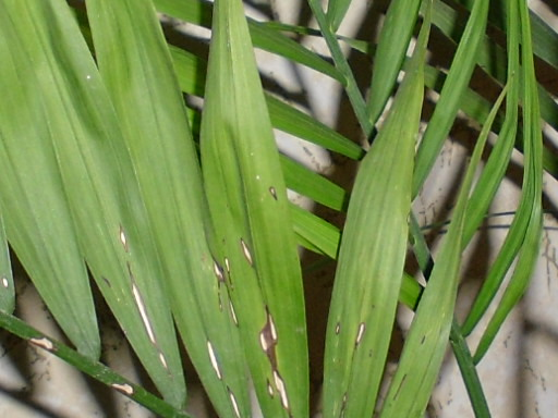 Посмотрите-помогите советом