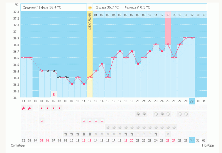 А вы как бы поступили?