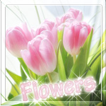 8ae62dffe3bd03e98fe7ef32be86c0e3.jpg
