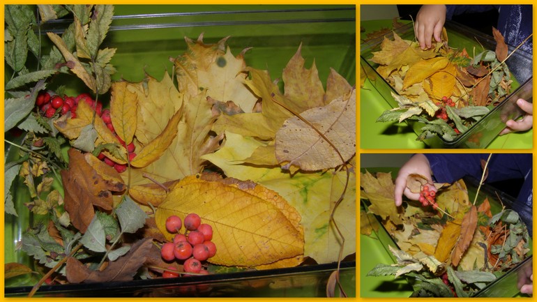 ТЗ Золотая осень