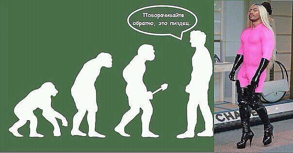 Улыбнуло:-)))