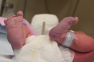 Куда пропал материнский инстинкт?