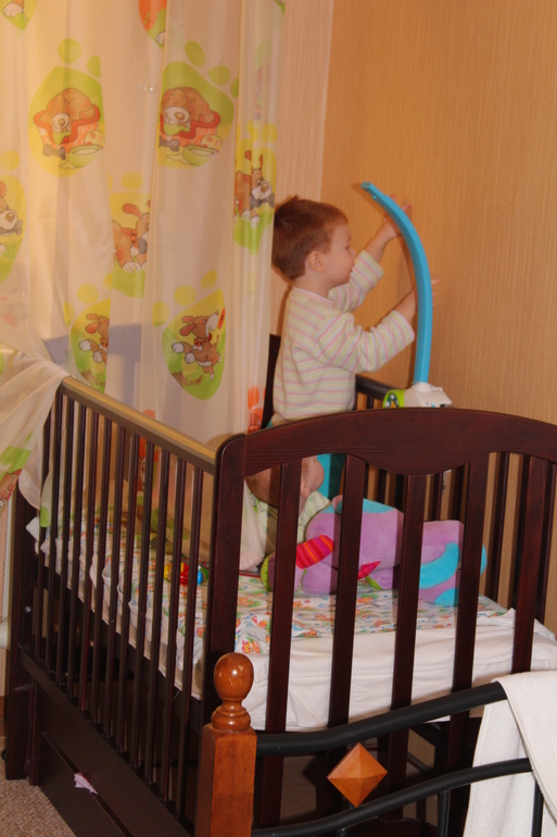 Про моих рыжиков)