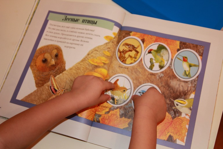 Осеннее творчество Анастасии