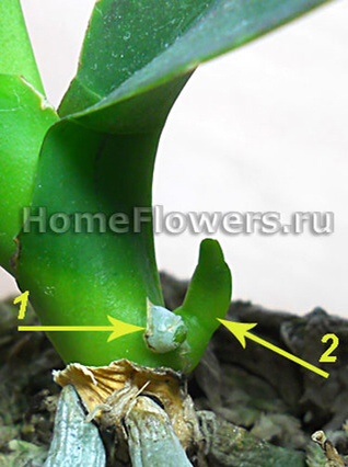 5aee71cf26775bcab4b1923ace067d4d.jpg